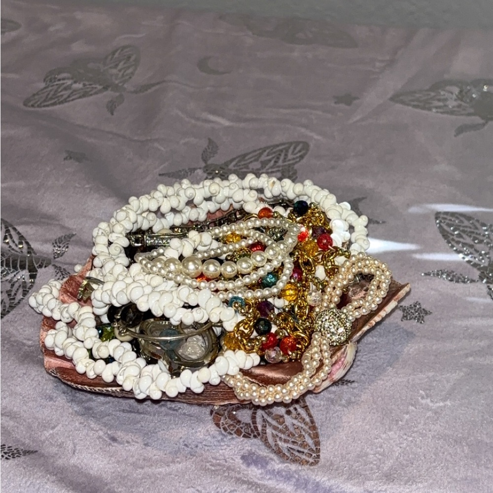 Seashell Fullfilled with Mystery Jewelry